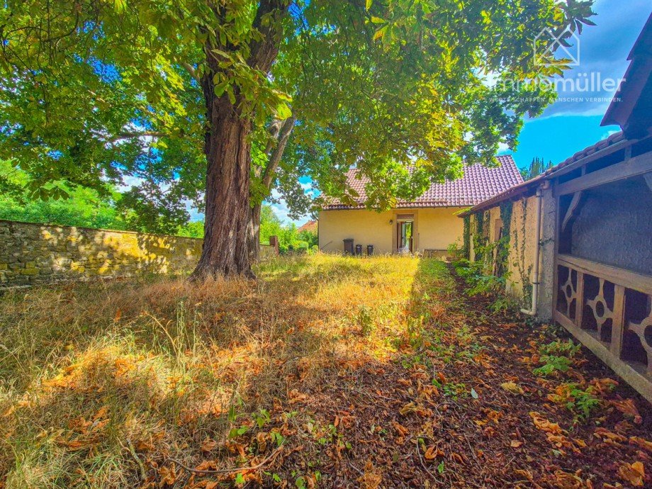 Gartenansicht Einfamilienhaus Wattenheim