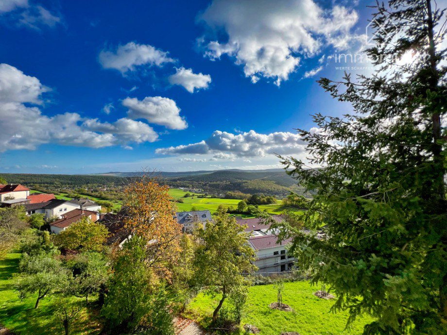 18 Doppelhaush�lfte Eisenberg (Pfalz) / Stauf