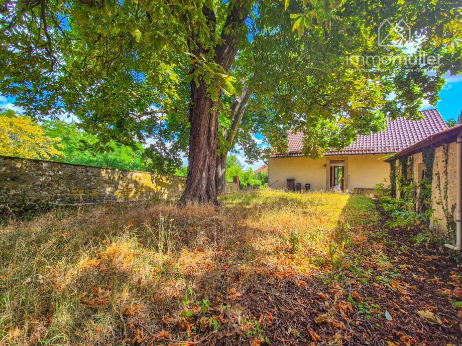 Gartenansicht Einfamilienhaus Wattenheim