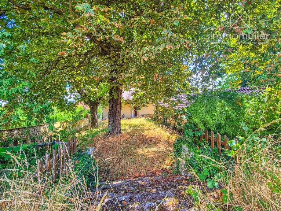 Garten Einfamilienhaus Wattenheim